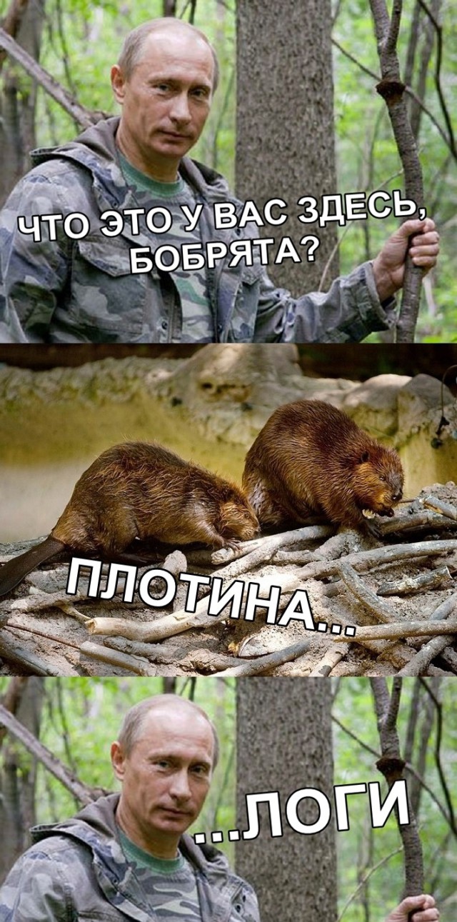 Прикольные картинки абавсём