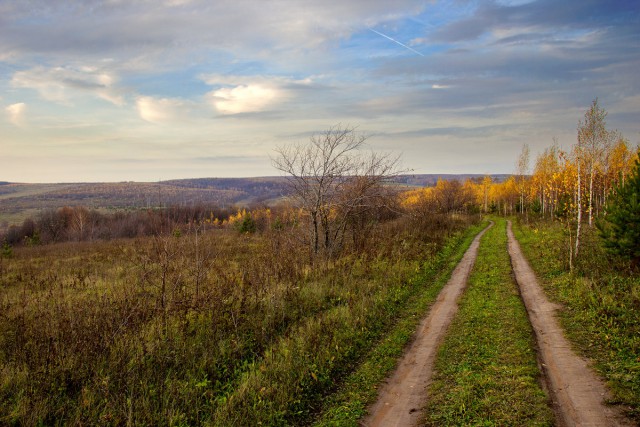 Красота сельских дорог