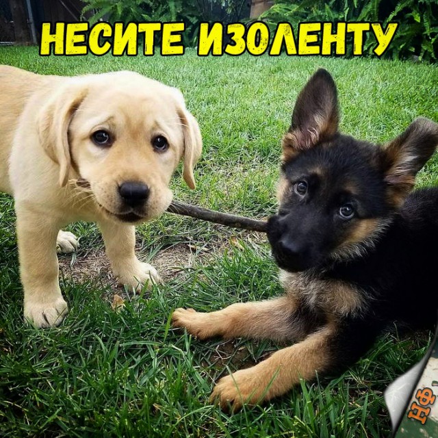 Прикольные картинки абавсём