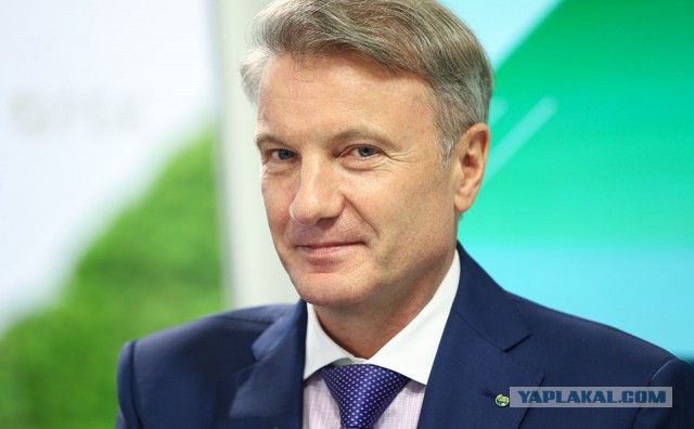 Что было бы, стань я владельцем компании