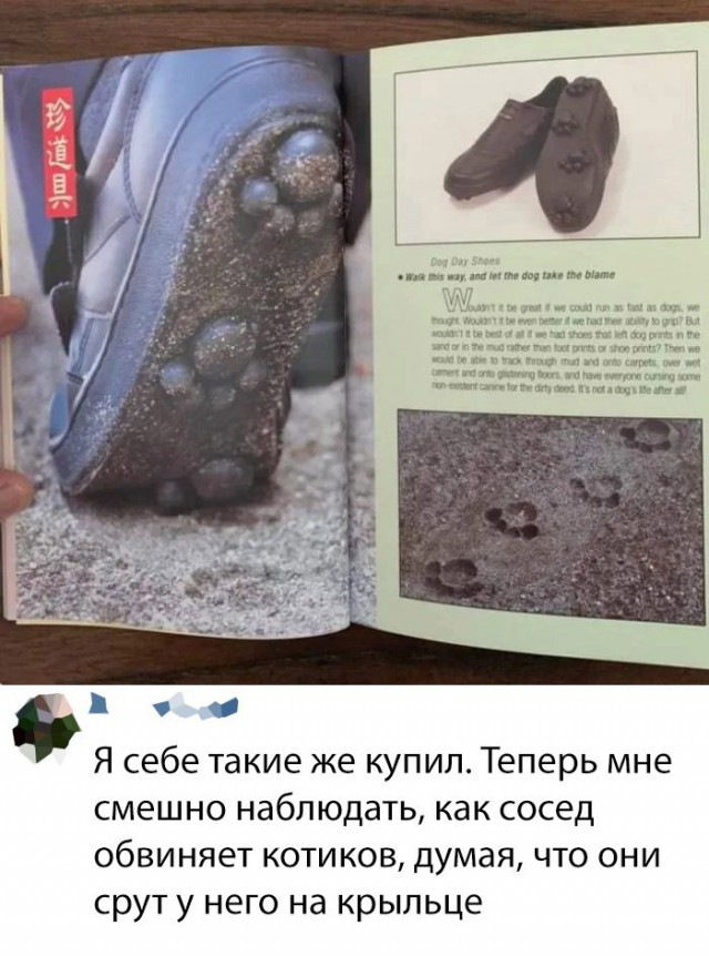 Картинки с надписями, истории и анекдоты 27.08.19