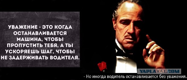 Забавные фотографии обо всём 28.11.19