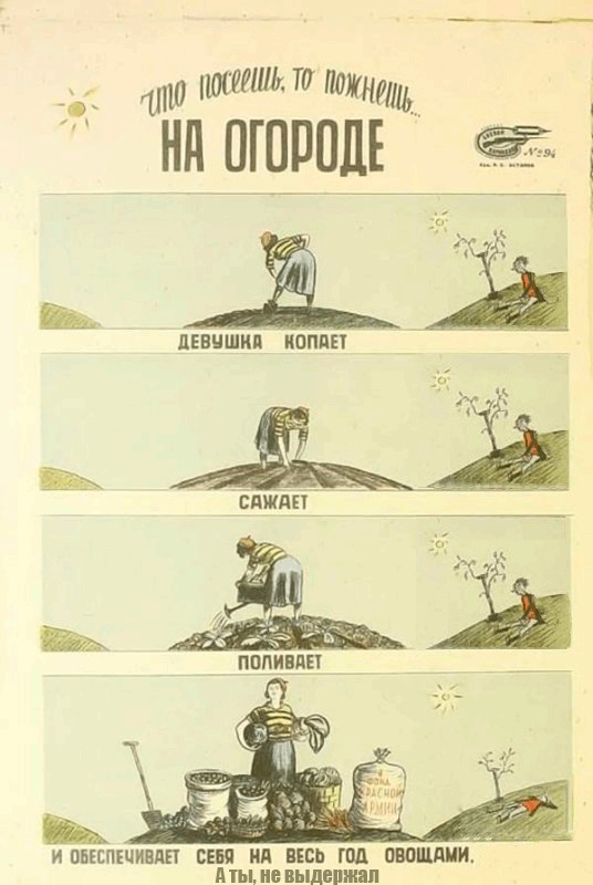 На огороде