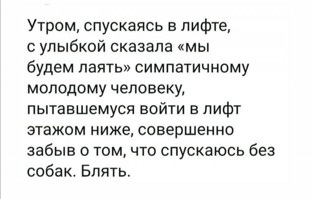 Немного картинок