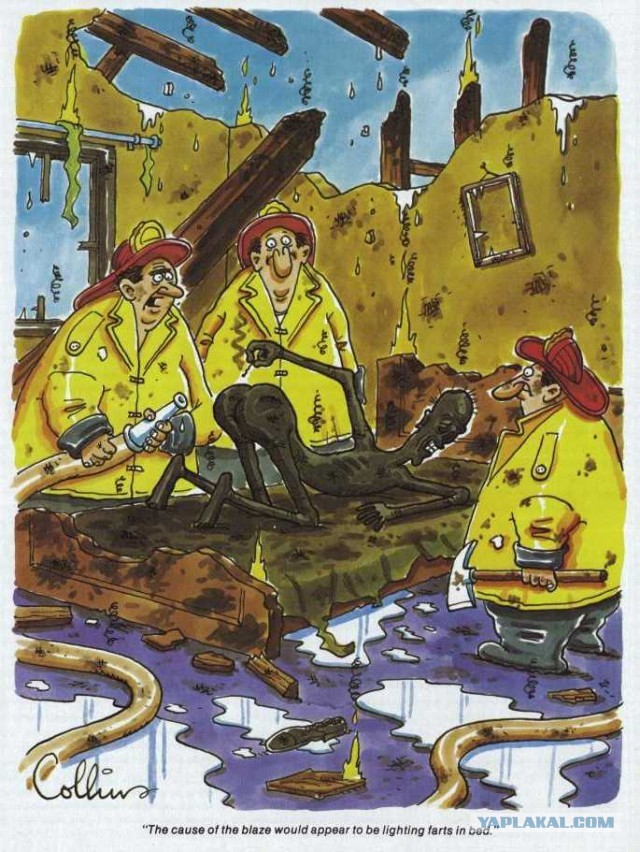 Отовсюду обо всем