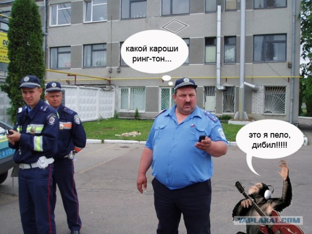 Фотожаба:На связи