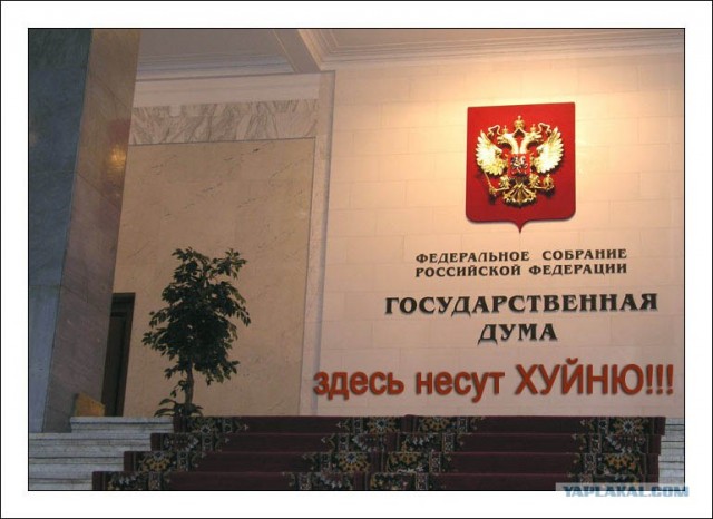 Я несу хуйню