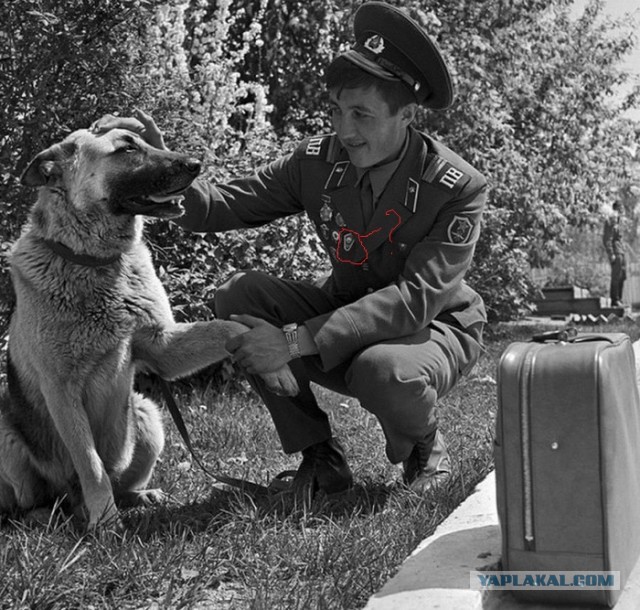 Пограничник перед увольнением в запас прощается со служебной собакой, 1980-е