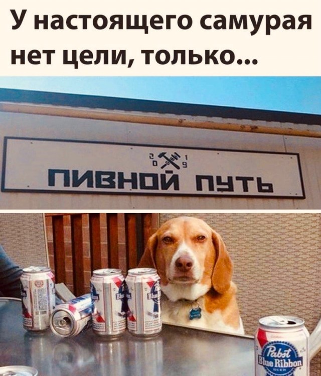 Бредзона 05.01.2021