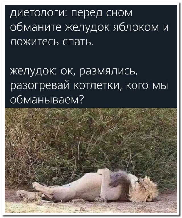 Забавные комментарии из социальных сетей 08.02.21