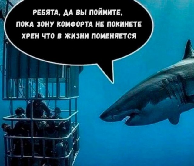 Большая белая акула