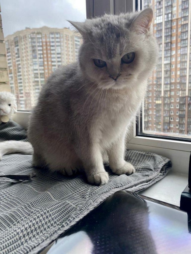 Подборка всякой живности
