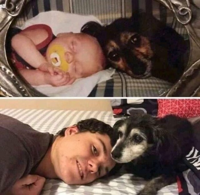 От смешного до странного