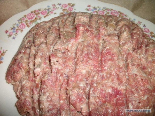 Пятничные посиделки на теплотрассе ©
