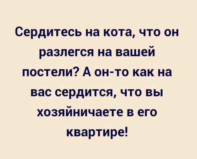 Картинки и мемы для настроения 23.11.2021