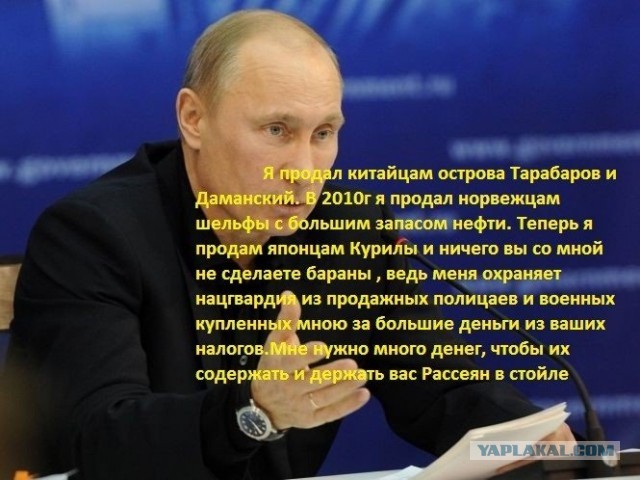 Японцы приобретут лесную компанию на Дальнем Востоке за $525 млн
