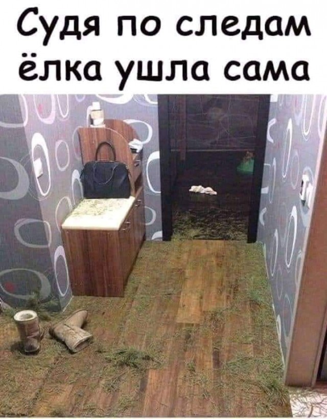 Всяческие картинки 19.01.2022