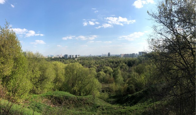 Для успокоения нервной системы