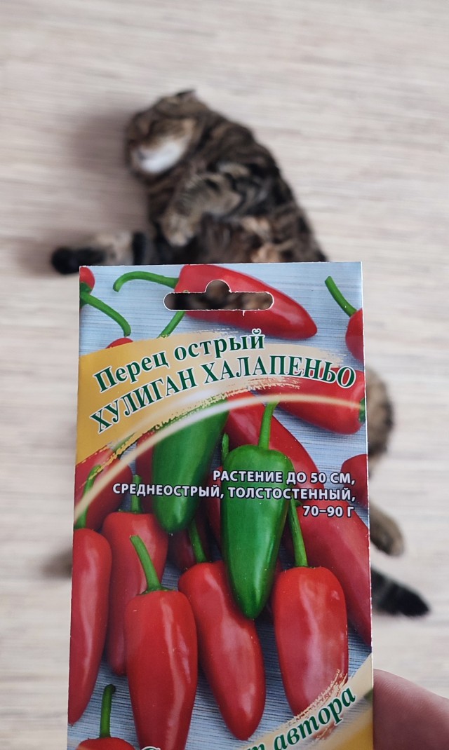 Моя "спецоперация"