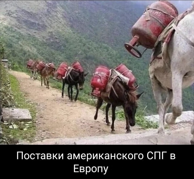 США договорились о поставках в ЕС не менее 15 млрд куб. м газа в виде СПГ в 2022 г