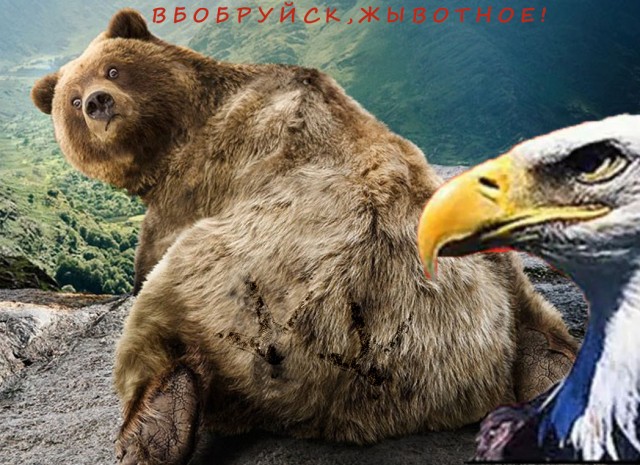 Заявление Минобороны РФ