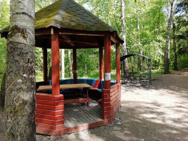 Пандемия. Коронавирус и съехавшие крыши. Россия и мир. Часть 35