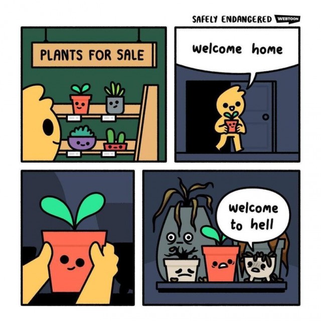 40 пятничных картинок разных 27.05.2022