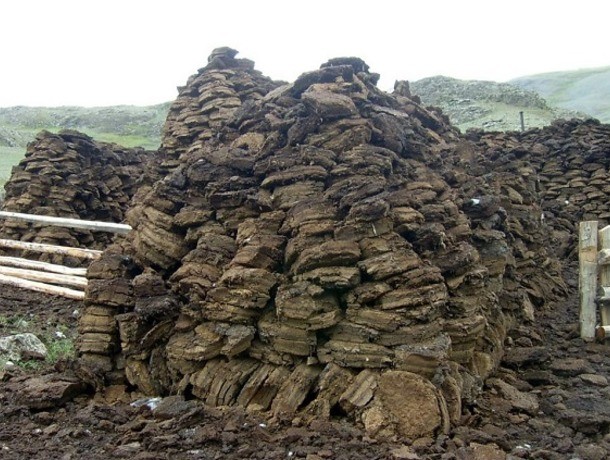 Кизяк наше всё, или Зелёная энергетика в Молдове