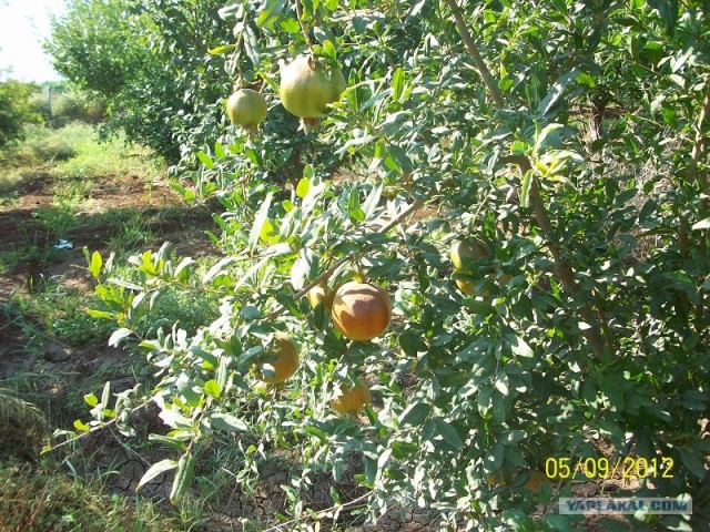 Путешествие Геленджик-Турция