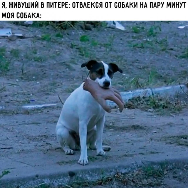 Картинки и мемы для настроения - 125