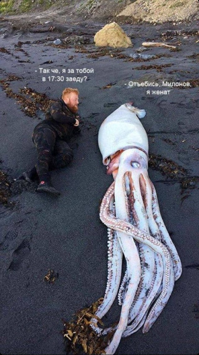 Картинки аморальные и всякие разные - 48
