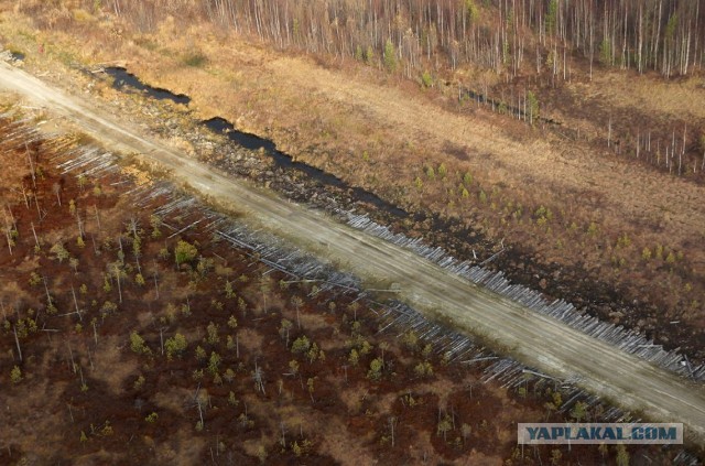 Сибирские перекрёстки