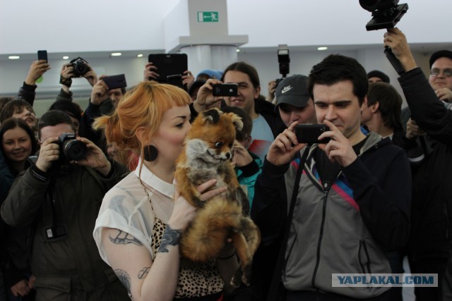 Ну что, кто доехал таки до упоротого лиса? :)