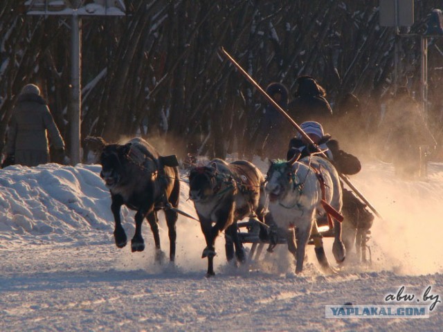 Дорога, которой нет: зимник Вуктыл - Воркута