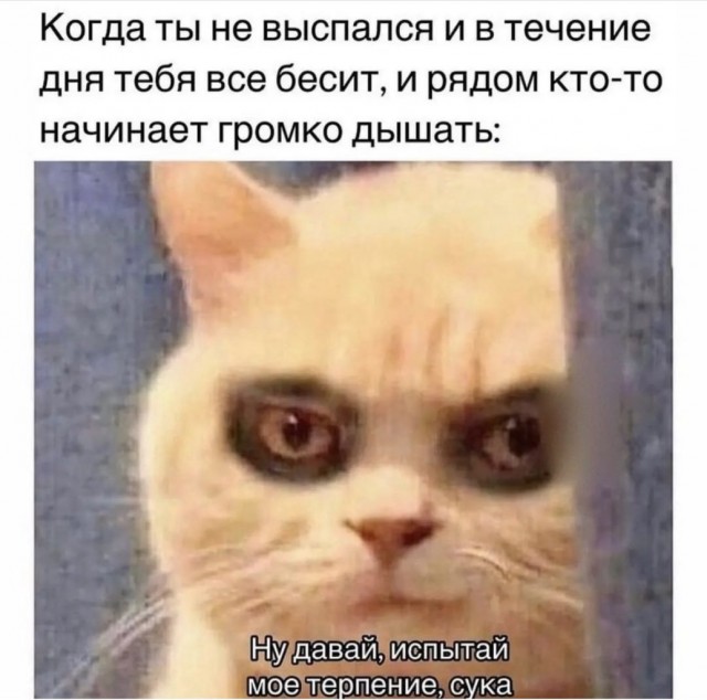 Весёлый полтишок 01.11.23