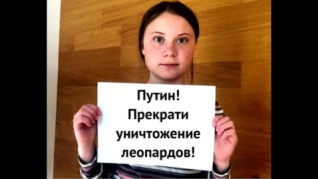 Почти все „Леопарды“, поставленные Украине, вышли из строя