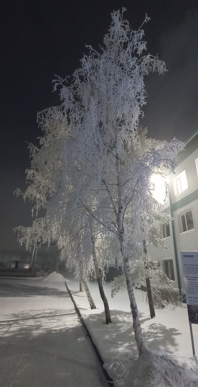 Минус 32