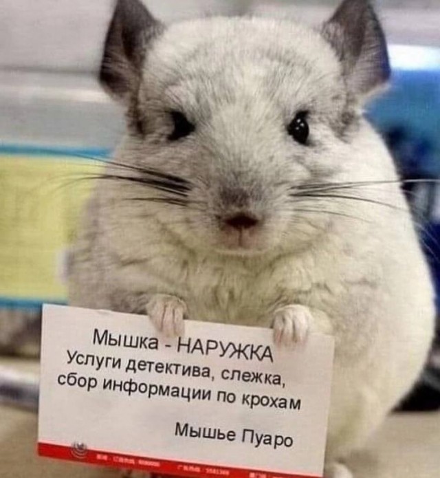 Забавные картинки, шутки из этих ваших интернетов