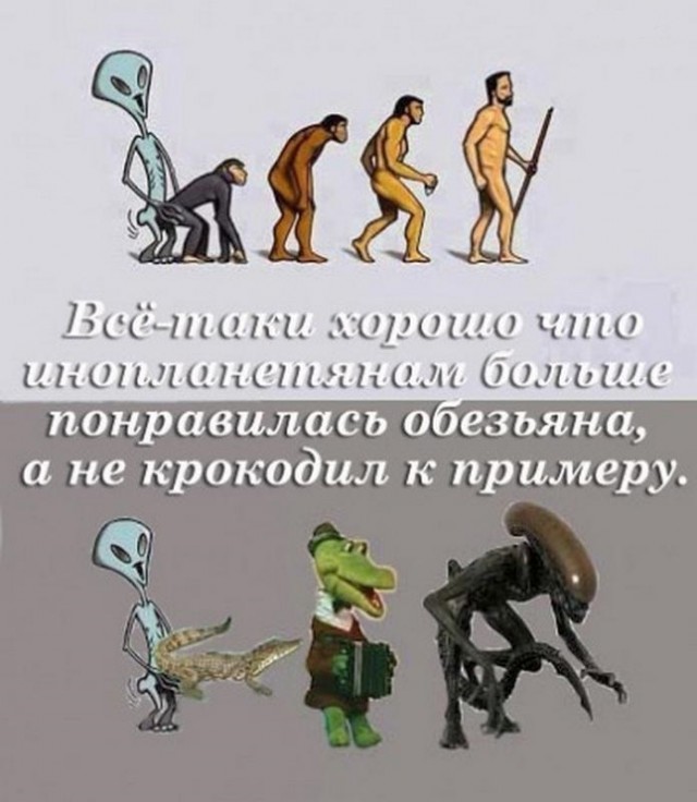 Окаменелость возрастом в шесть миллионов лет раскрыла, как человек стал прямоходящим