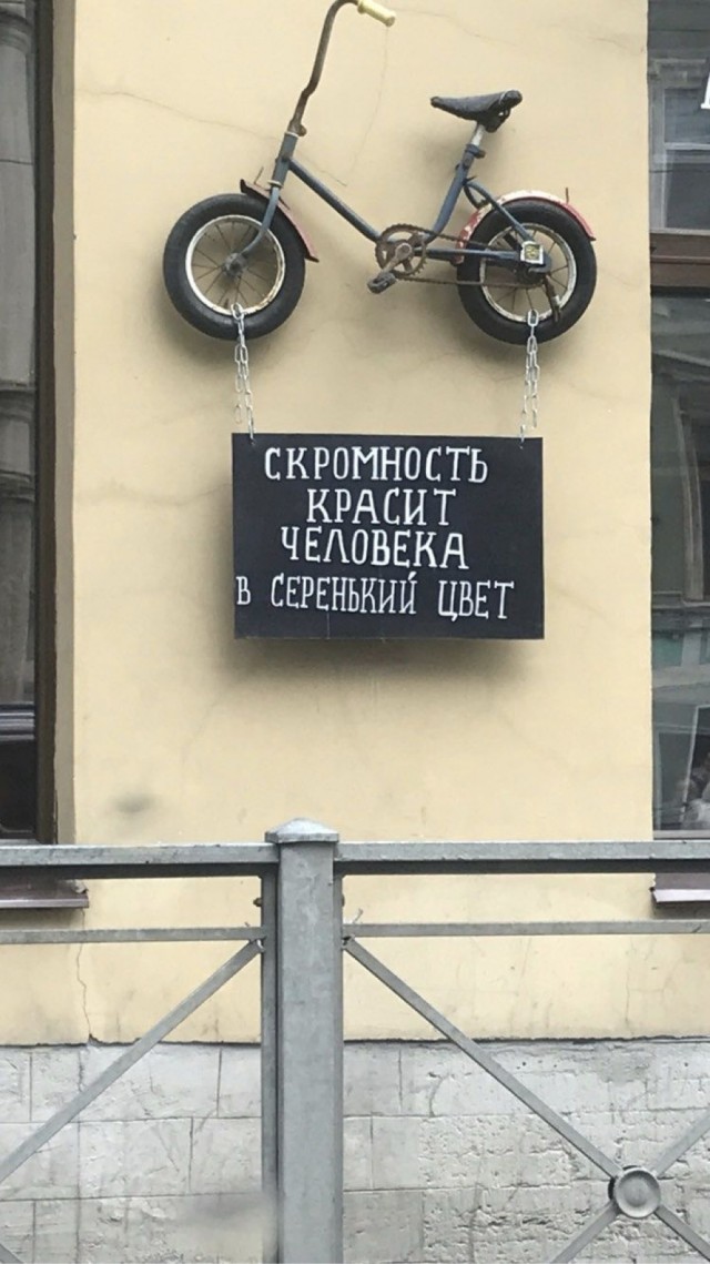 Весёлый полтишок 27.05.24