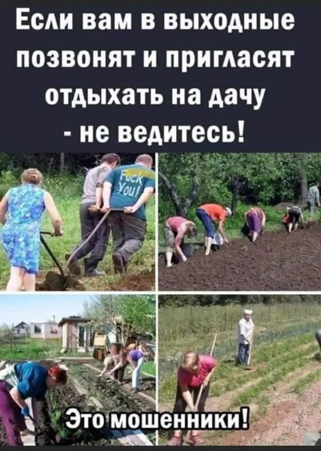 Баянчики