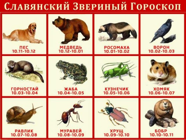 Сознание это Бог