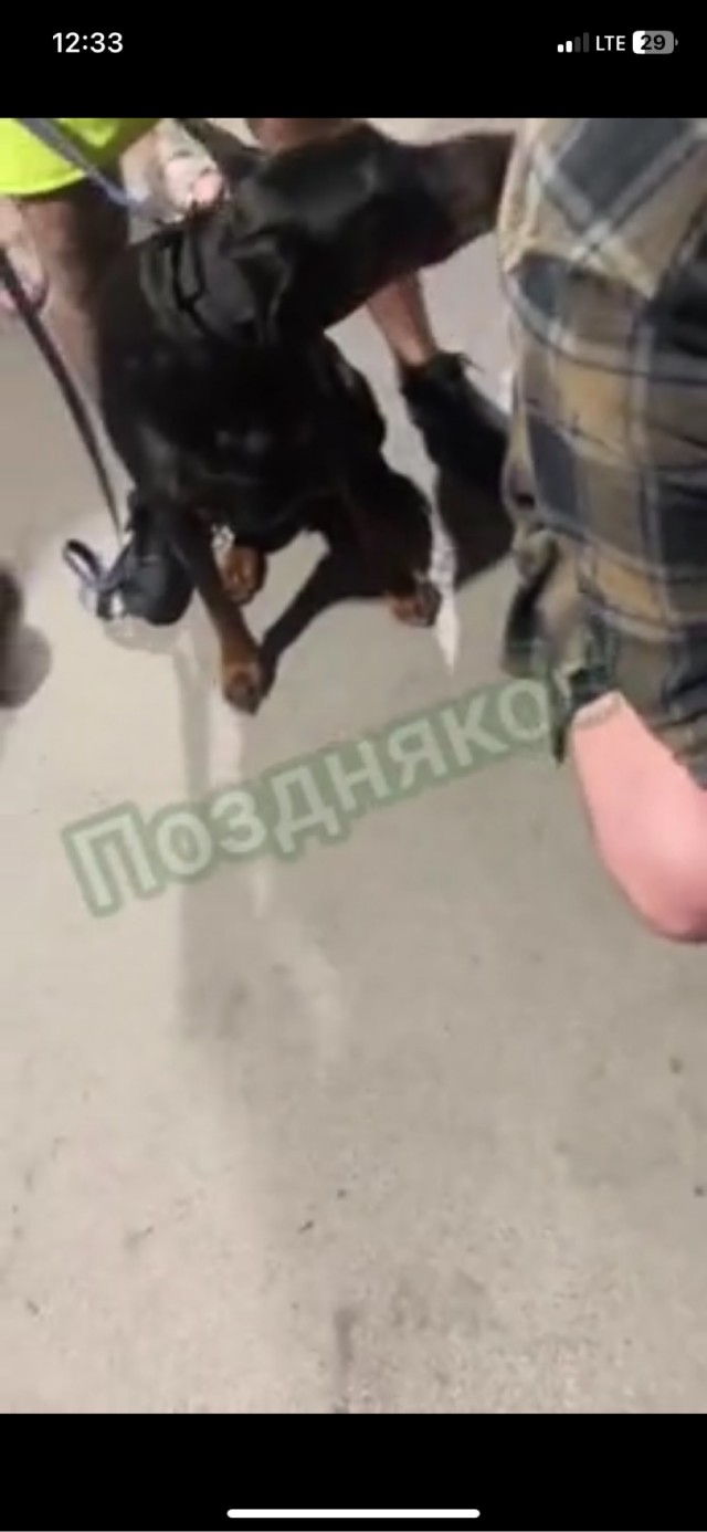 Где-то в Московской области