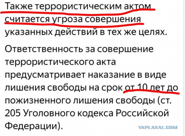 Турки готовят террориста Серебрякова к отправке в Москву
