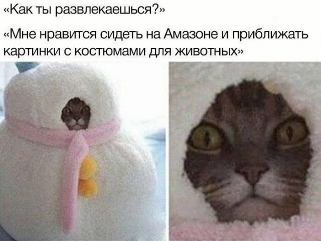 Сборник бабаянов или неожиданная помойка
