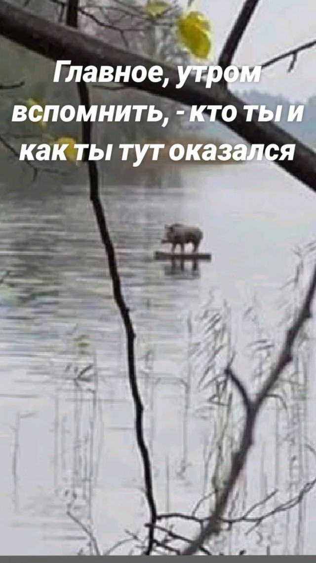 Завалялось тут случайно немного забавных картинок