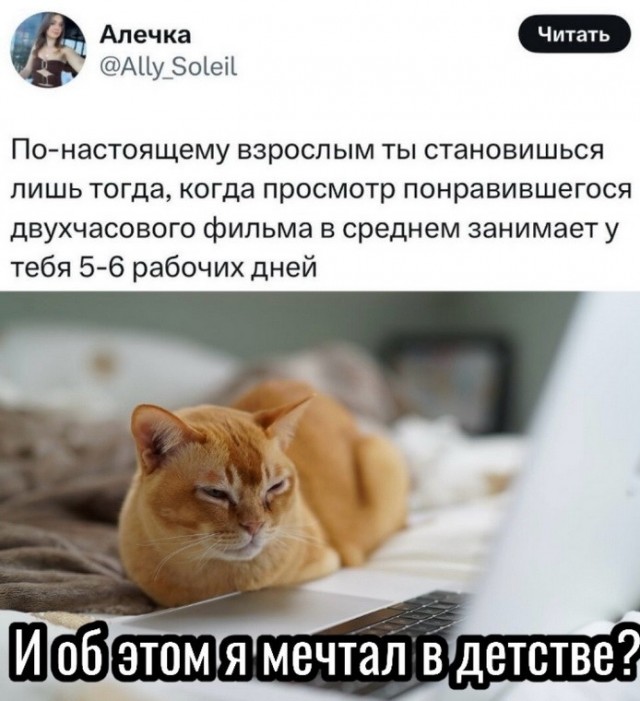 20 забавных  картинок