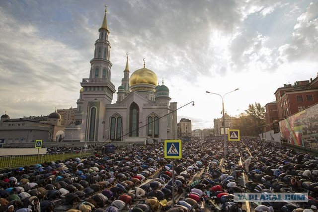 Москва и москвичи