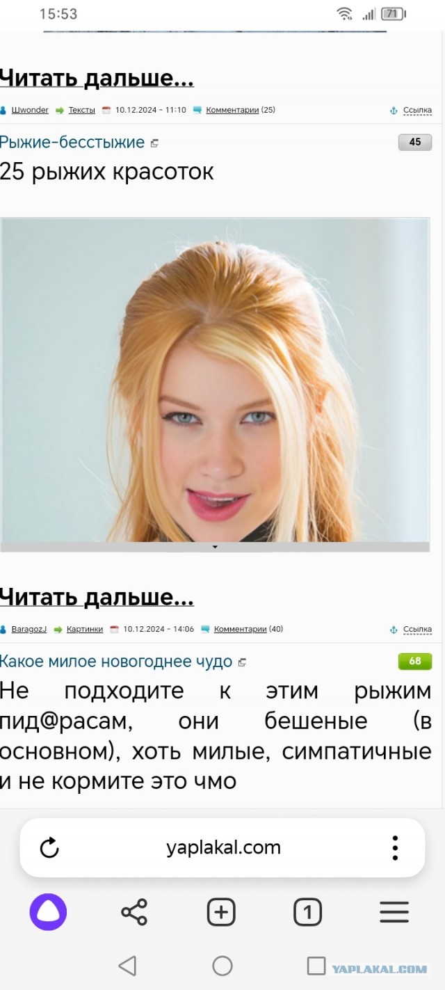 Какое милое новогоднее чудо