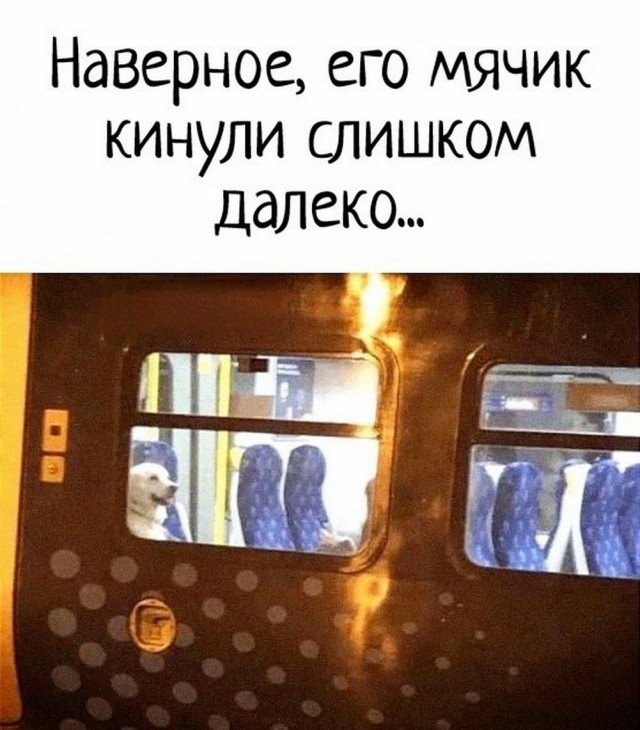Всего понемногу. От 01.03.2025